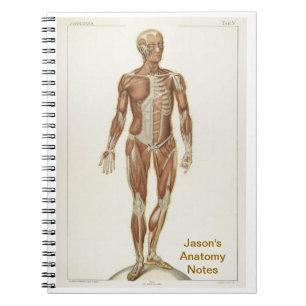 Anatomy Anterior Notebook