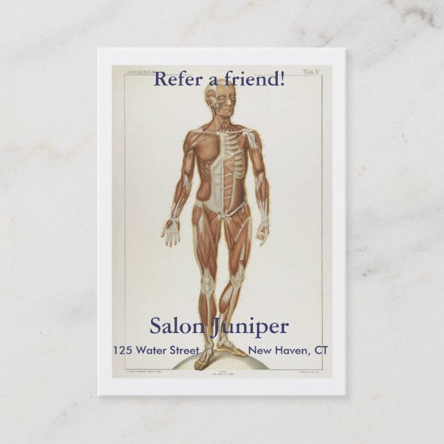 Anatomy Anterior Referral Card (Front)