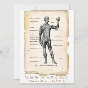 Anatomy Anterior Vintage Drawing Invitation