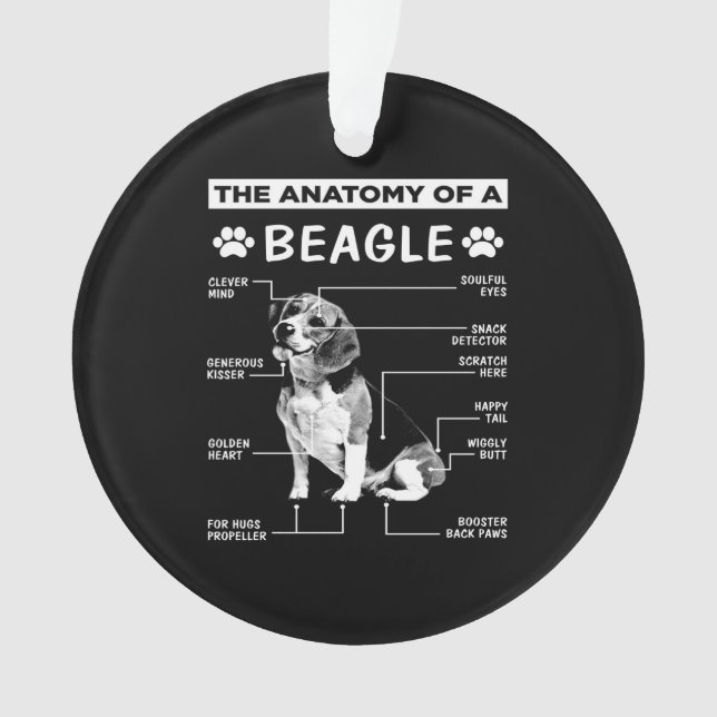 Anatomy Beagle Dog Ornament (Front)