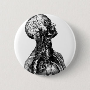 Anatomy Bust 6 Cm Round Badge