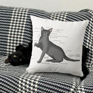 Anatomy Cat Funny Cushion