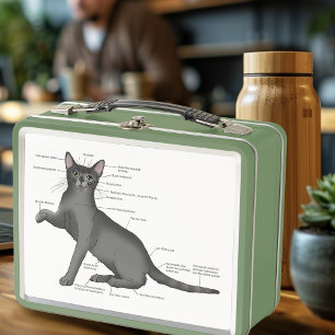Anatomy Cat Funny Metal Lunch Box