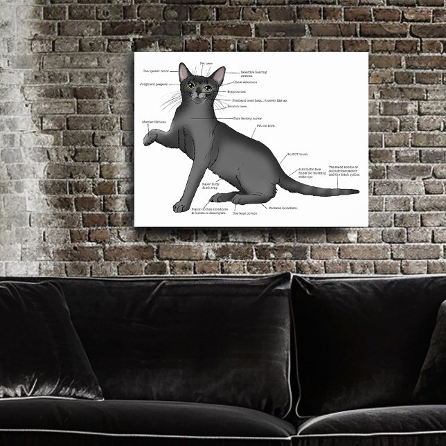 Anatomy Cat Funny Poster (Creator Uploaded)