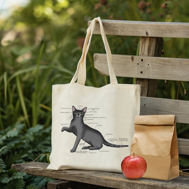 Anatomy Cat Funny Tote Bag (Creator Uploaded)