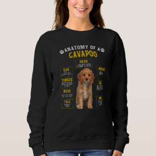 Anatomy Cavapoo For Women Men Sweatshirt
