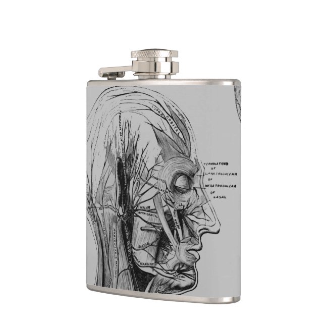 Anatomy Flask (Left)