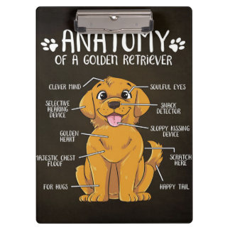 Anatomy Golden Retriever | Golden Retriever Lover  Clipboard