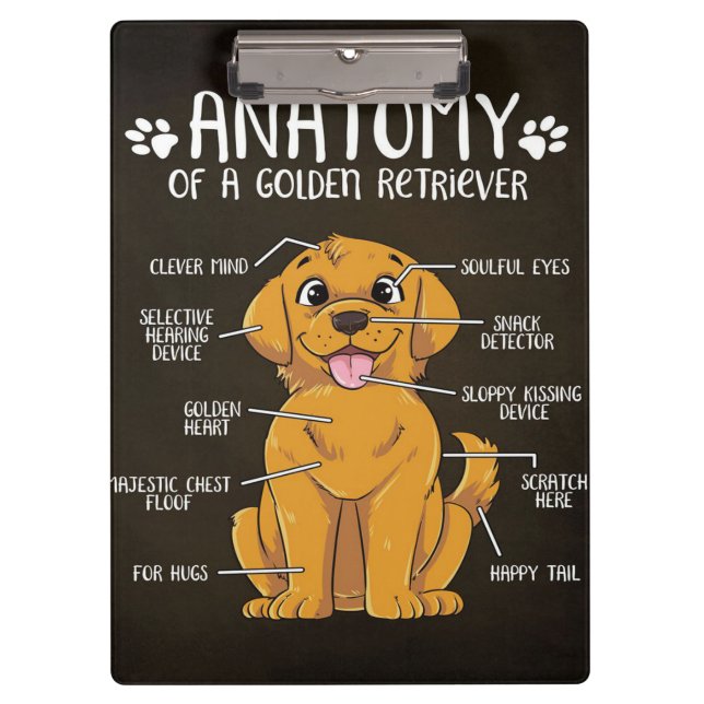 Anatomy Golden Retriever | Golden Retriever Lover  Clipboard (Front)