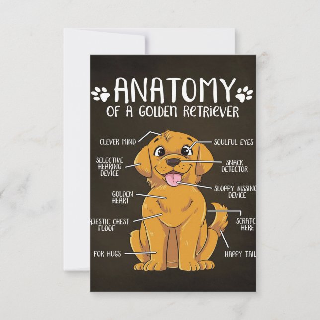 Anatomy Golden Retriever | Golden Retriever Lover  RSVP Card (Front)