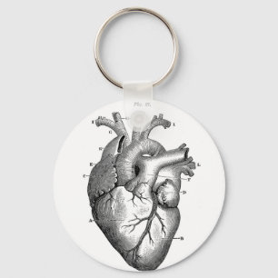 Anatomy-Heart-Images-Vintage Key Ring