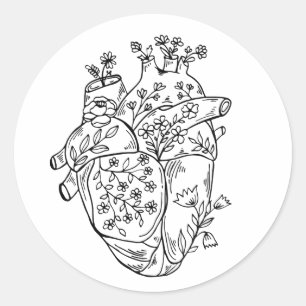 Anatomy heart sticker