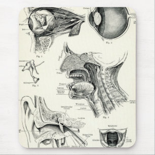 Anatomy - Human Senses Mouse Pad