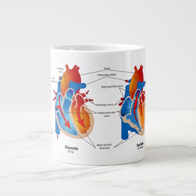 Anatomy Mug-Heart Large Coffee Mug (Front)