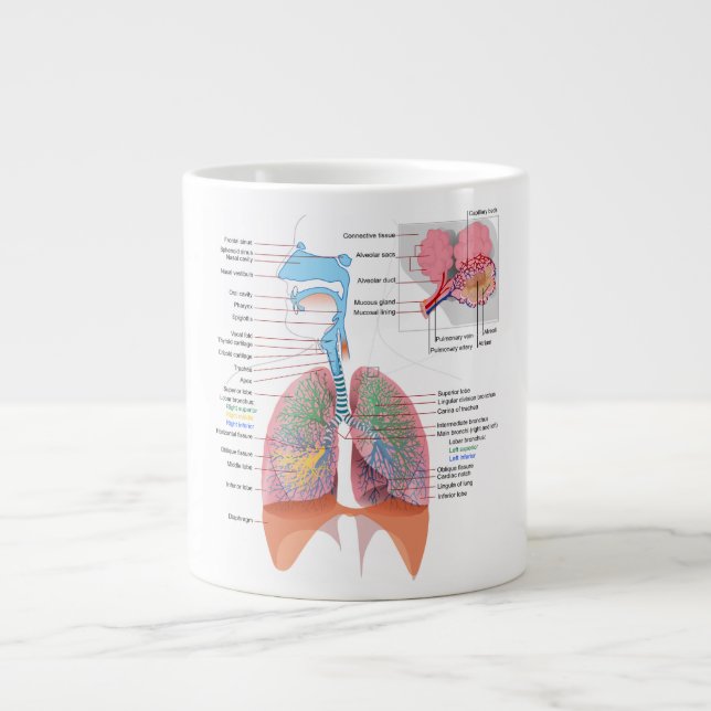 Anatomy Mug-Respiratory Large Coffee Mug (Front)