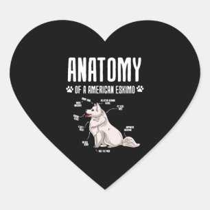 Anatomy Of A American Eskimo Heart Sticker