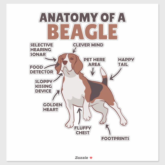 Anatomy Of A Beagle Cute Dogs Funny Dog Beagle (Sheet)