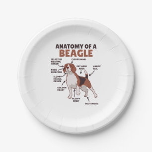 Anatomy Of A Beagle Cute Dogs Funny Dog Beagle Paper Plate