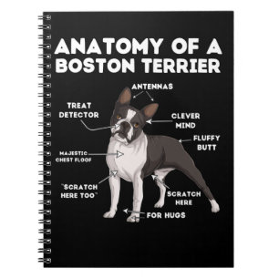 Anatomy of a Boston Terrier Notebook