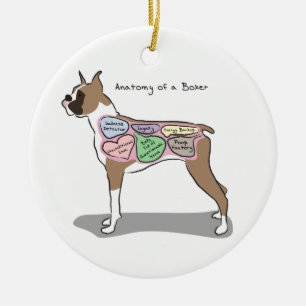 Anatomy of a Boxer Dog gifts Ceramic Ornament