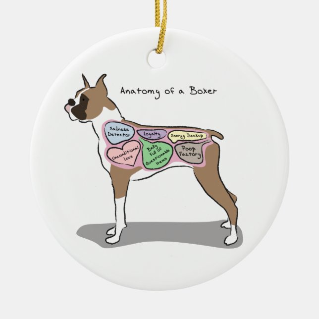 Anatomy of a Boxer Dog gifts Ceramic Ornament (Front)
