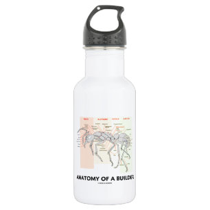 Anatomy Of A Builder (Worker Ant Anatomy) 532 Ml Water Bottle