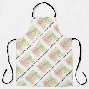Anatomy Of A Builder Worker Ant Anatomy Apron