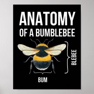 Anatomy Of A Bumblebee Funny Sarcastic Humour Quot Poster