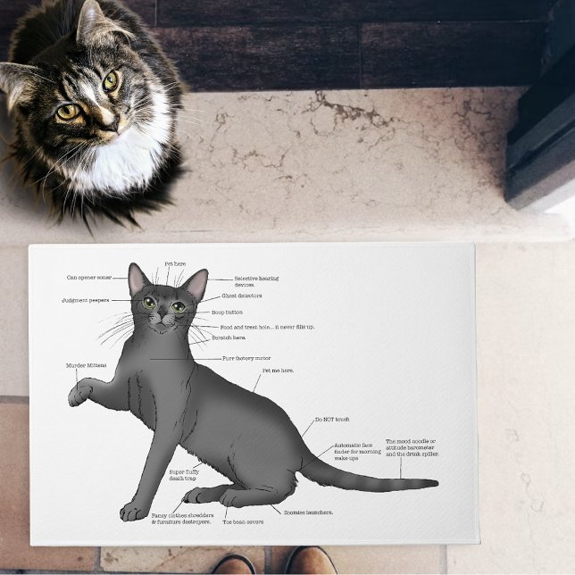 Anatomy of a Cat Doormat (Creator Uploaded)
