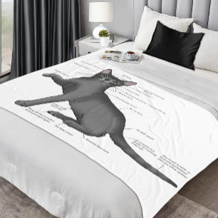 Anatomy of a Cat Fleece Blanket