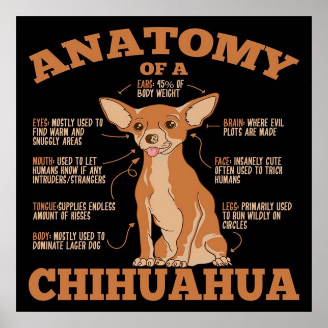 Anatomy Of A Chihuahua Canvas Poster (Front)