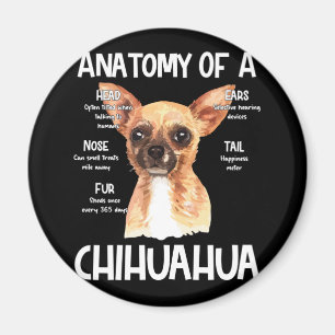 Anatomy Of A Chihuahua For Dog Lovers Magnet
