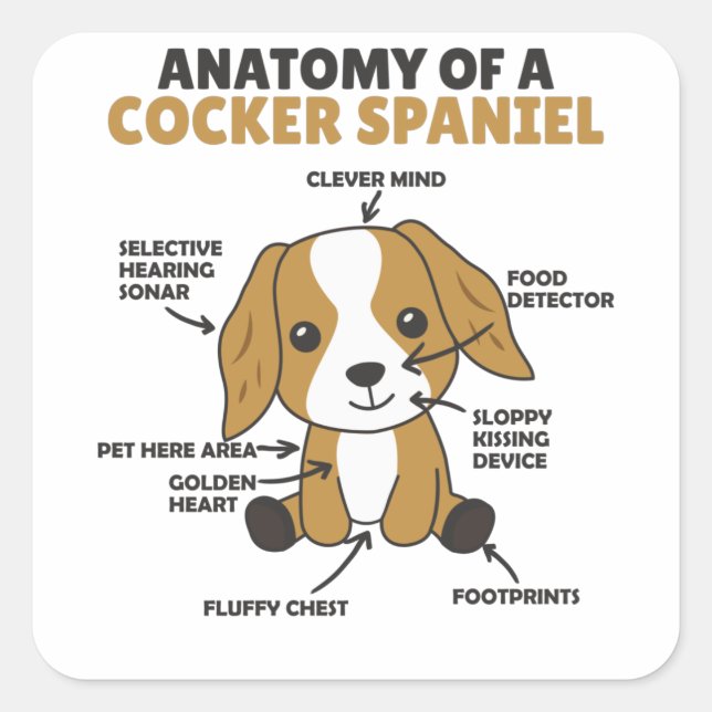 Anatomy Of A Cocker Spaniel Cute Dogs Puppy Square Sticker (Front)