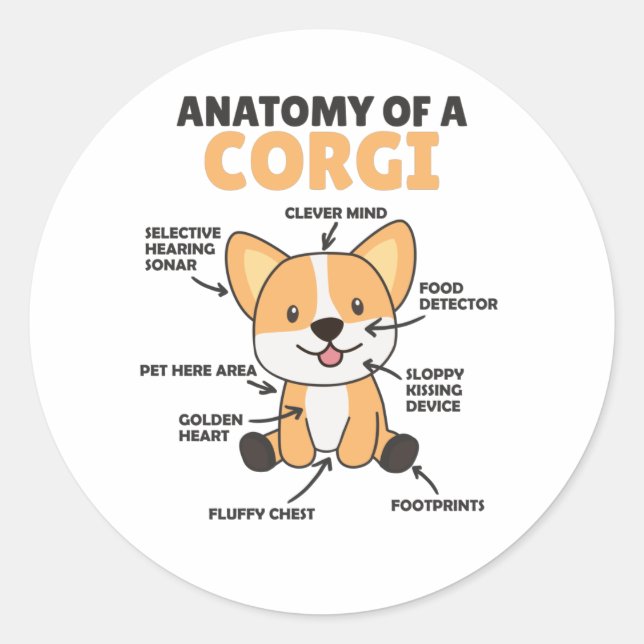 Anatomy Of A Corgi Cute Dogs Funny Puppy Classic Round Sticker (Front)