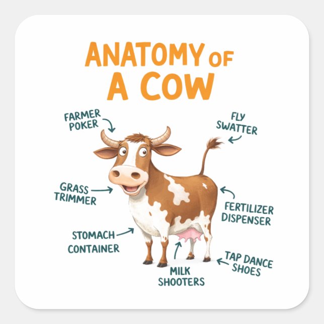 Anatomy of a Cow | Funny Doctor Day Square Sticker (Front)