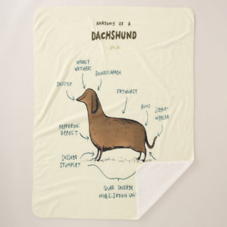 Anatomy Of A Dachshund | Dachshund Dog Lovers Sherpa Blanket