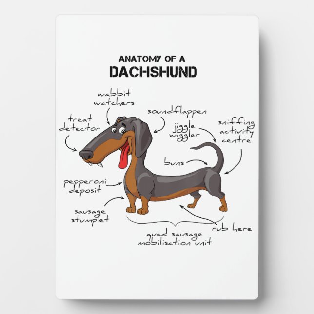 Anatomy Of A Dachshund - Funny Dog Plaque (Front)