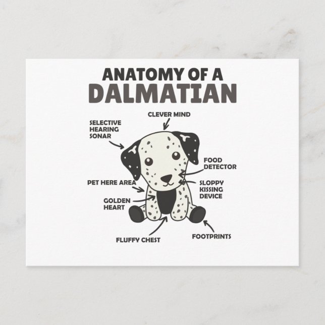 Anatomy Of A Dalmatian Sweet Dogs Funny Puppy Postcard (Front)