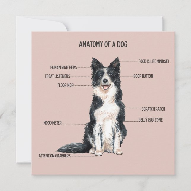 Anatomy of a Dog Card (Front)