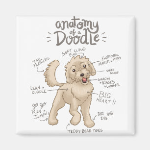 Anatomy of a Doodle Dog Magnet