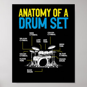 Anatomy Of A Drum Set Drummer Musician Drumsticks Poster