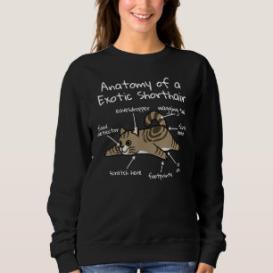Anatomy Of A Exotic Shorthair Cat Pet Sweatshirt