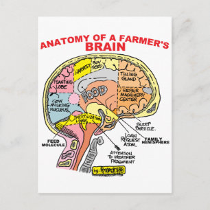 ANATOMY OF A FARMER'S BRAIN POSTCARD