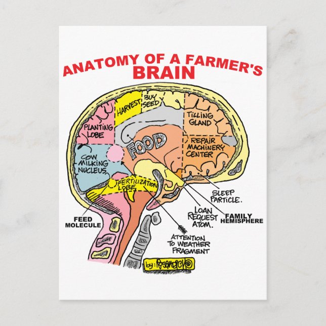 ANATOMY OF A FARMER'S BRAIN POSTCARD (Front)