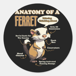Anatomy Of A Ferret Lover Wildlife Animal Ferret O Classic Round Sticker
