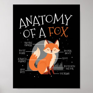 Anatomy Of A Fox Cute Fox Forest Animal Poster