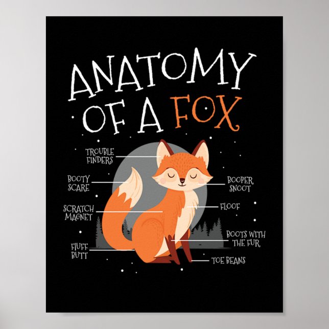 Anatomy Of A Fox Cute Fox Forest Animal Poster (Front)