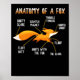 Anatomy Of A Fox Cute Sweet Carnivore Animal Gift Poster