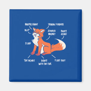 Anatomy Of A Fox Magnet