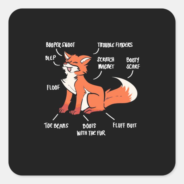 Anatomy Of A Fox Square Sticker (Front)